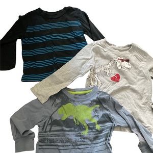 Boys Light weight jacket + 3 long sleeves t-shirts 3-4 t